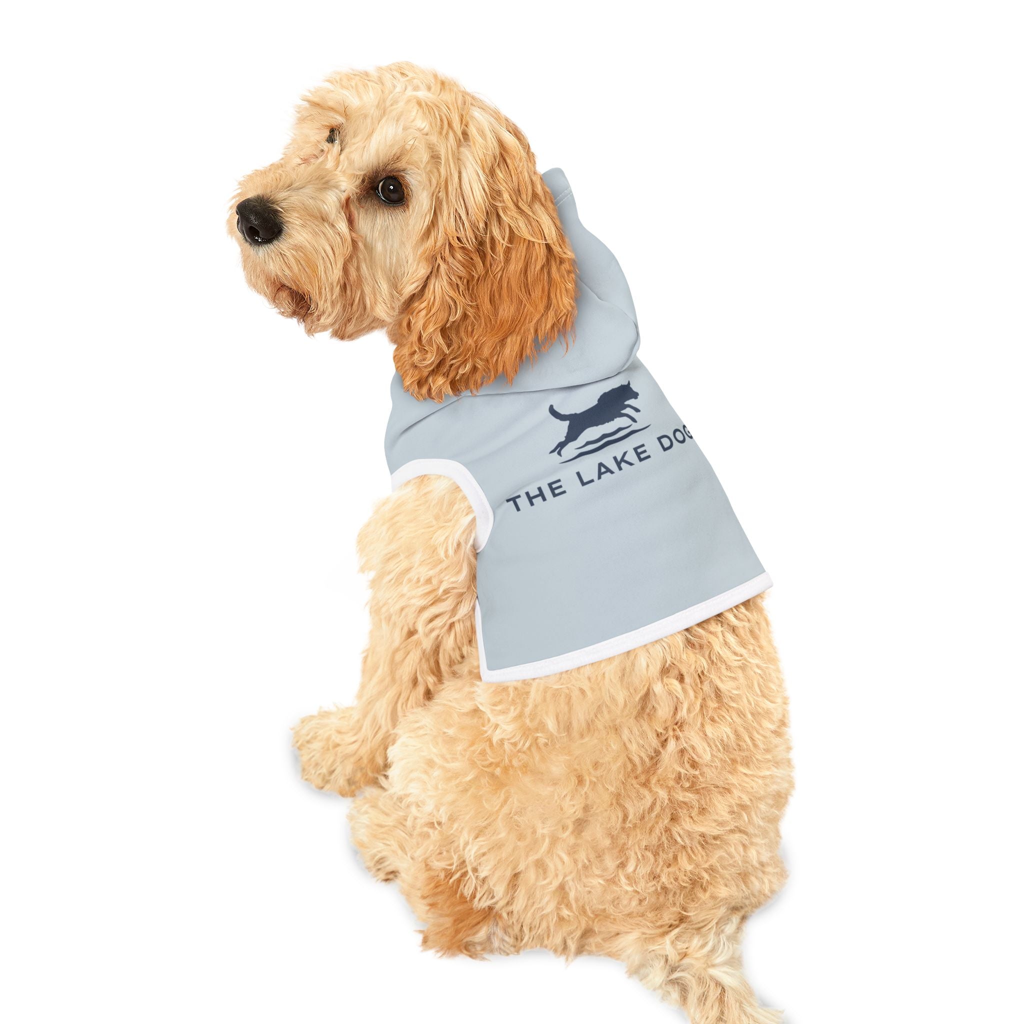 The Lake Dog Pet Hoodie