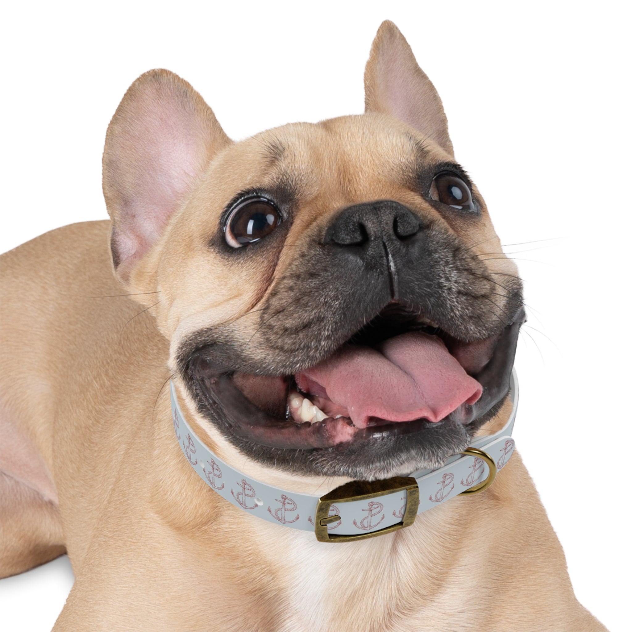 Anchor Waterproof Dog Collar