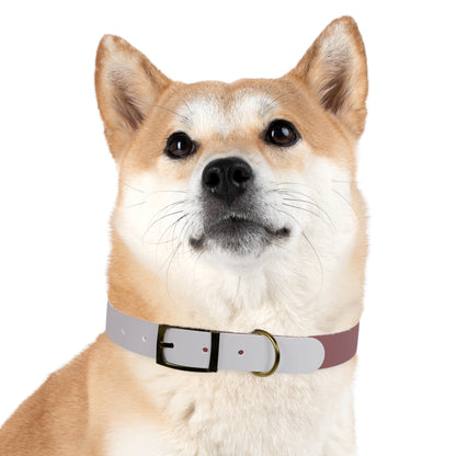 Gradient Lake Dog Waterproof Dog Collar