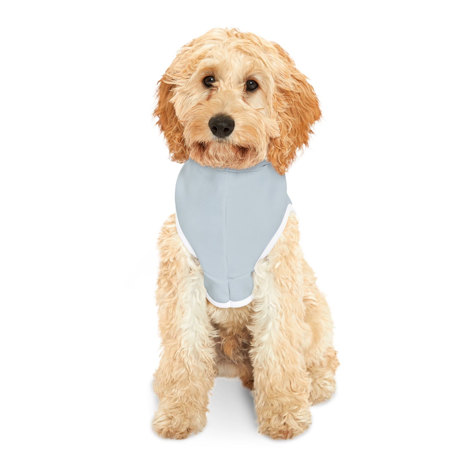 The Lake Dog Pet Hoodie