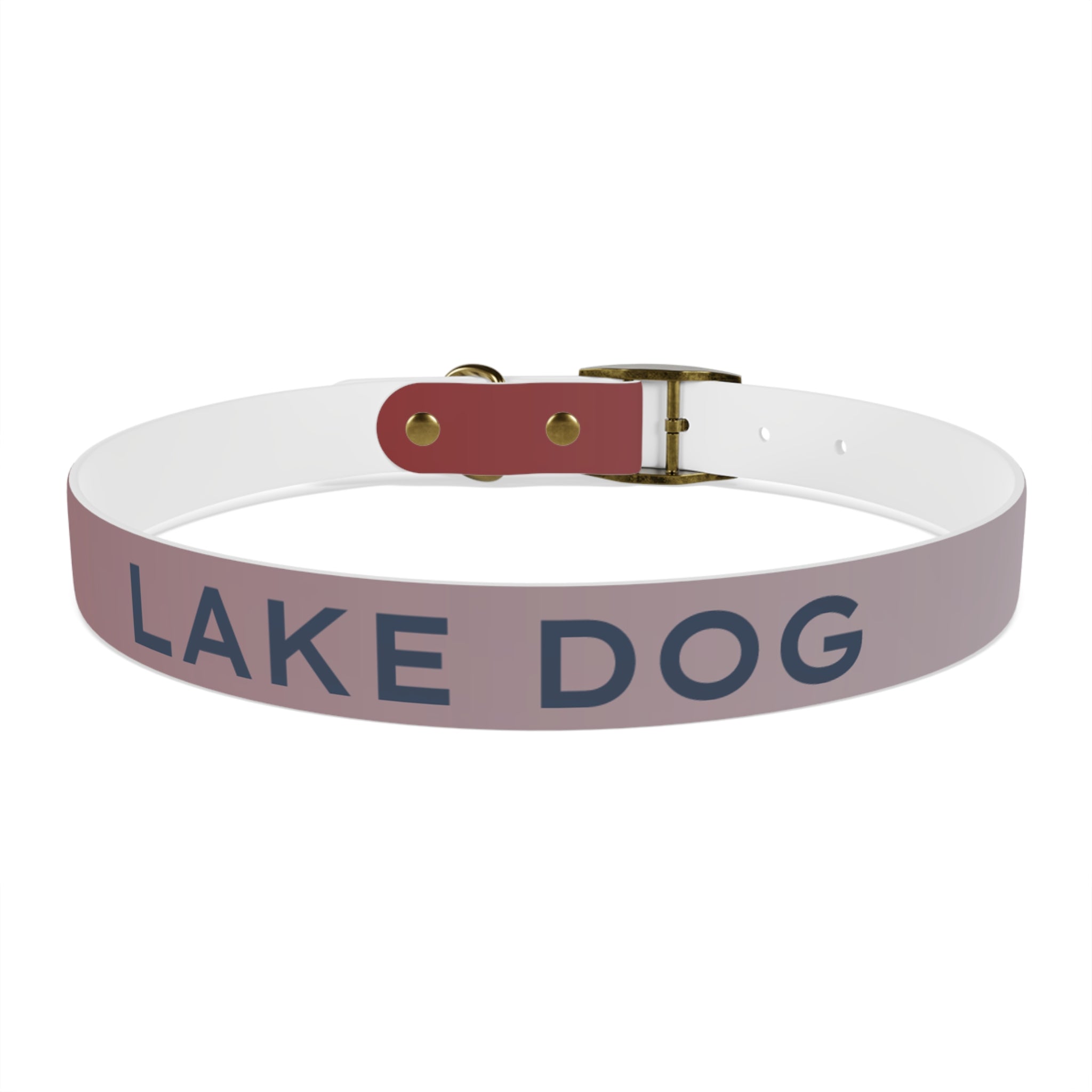 Gradient Lake Dog Waterproof Dog Collar