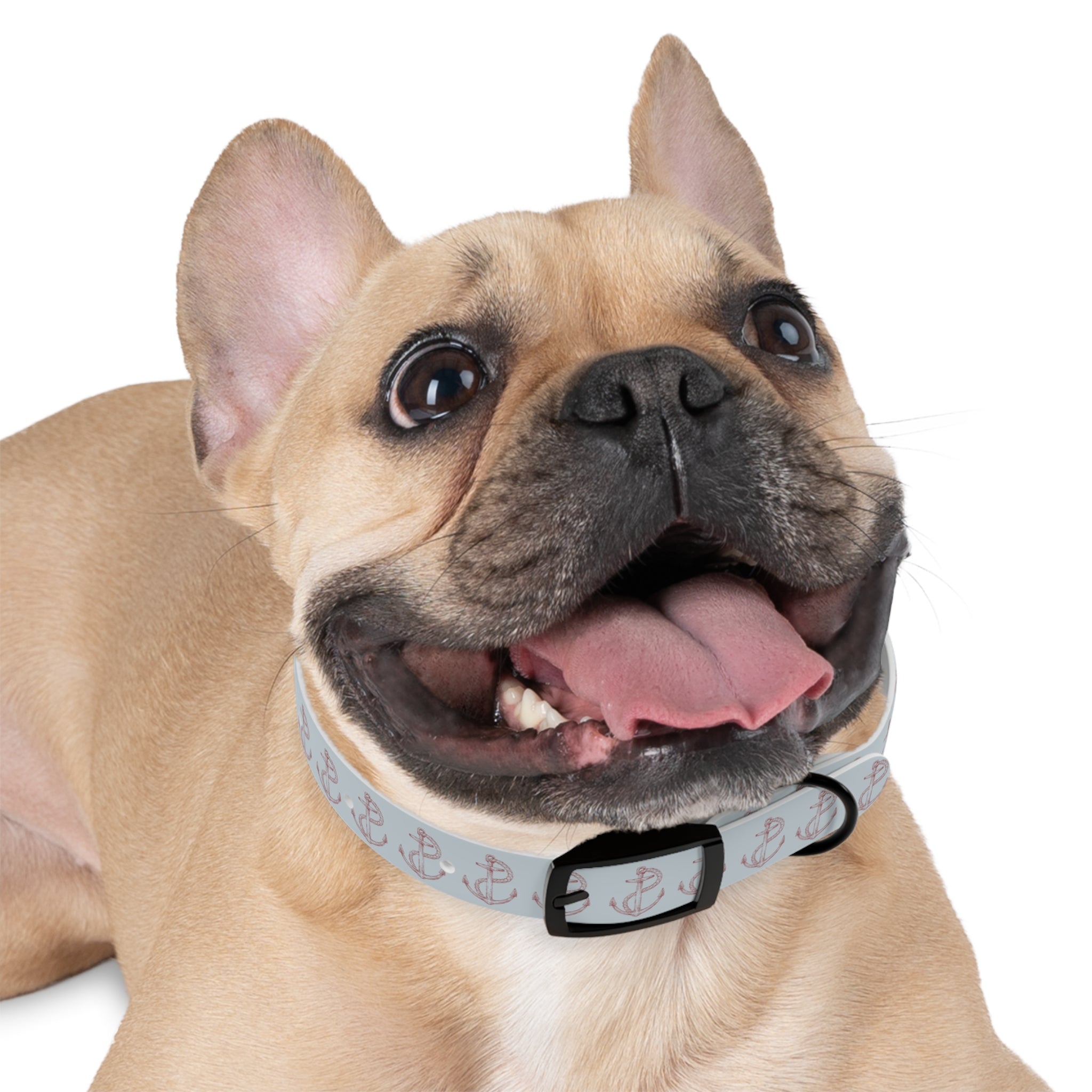 Anchor Waterproof Dog Collar