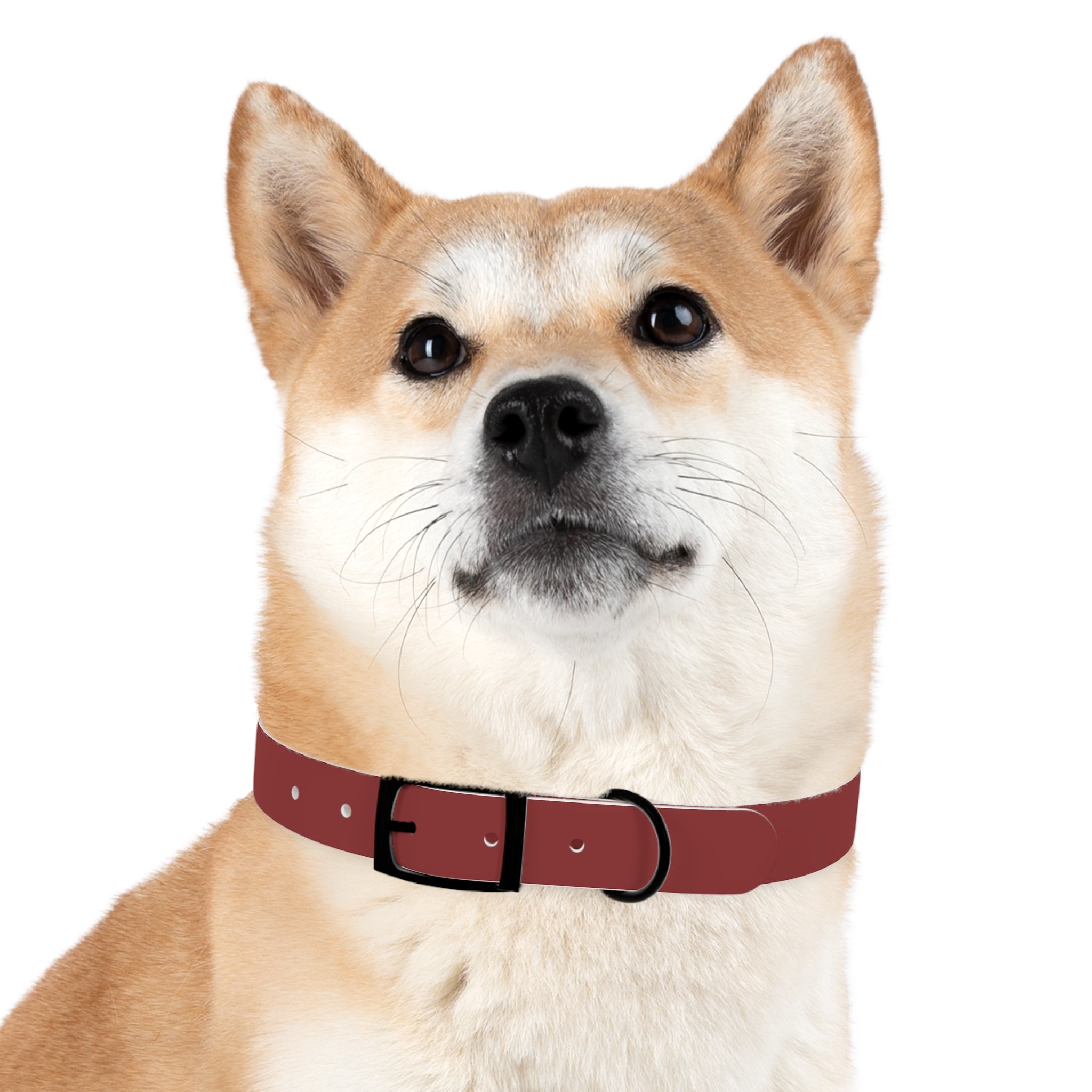 Classic Red Waterproof Dog Collar