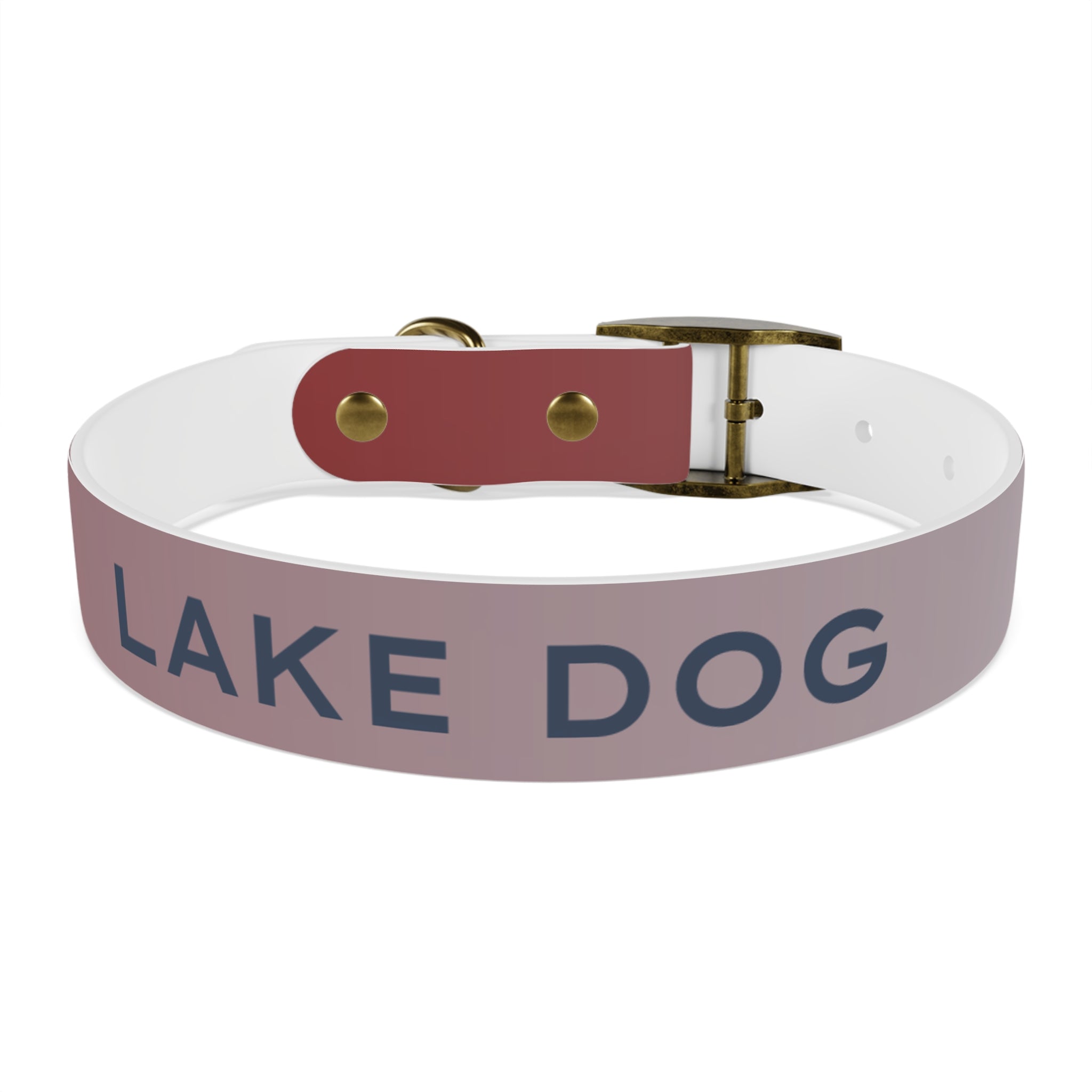 Gradient Lake Dog Waterproof Dog Collar